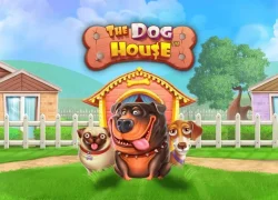 The Dog House