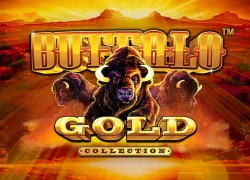 Buffalo Gold